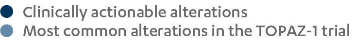 Exploratory OS subgroup analysis by genomic alteration status chart