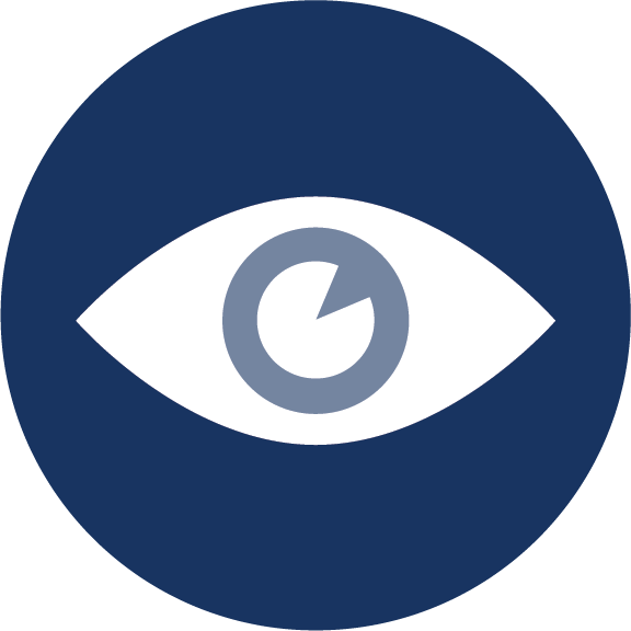 ds-eye-icon-v1