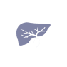 Liver Icon