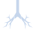 Treatment of First-Line ES-SCLC
